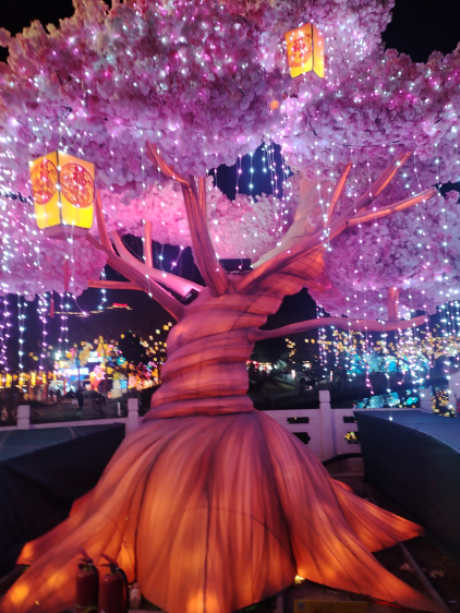 涿州通會(huì)燈市