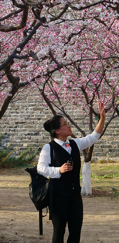 樂定坊AI俱樂部明城墻遺址公園賞花采風(fēng)雅聚活動