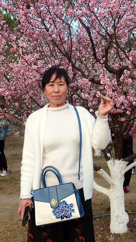 樂定坊AI俱樂部明城墻遺址公園賞花采風(fēng)雅聚活動