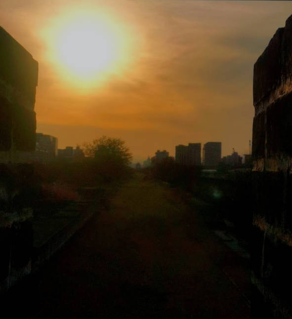 樂定坊AI俱樂部明城墻遺址公園賞花采風(fēng)雅聚活動