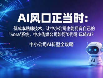 AI風(fēng)口正當(dāng)時(shí)：低成本貼牌技術(shù)，讓中小公司也能擁有自己的AI“Sora”系統(tǒng)