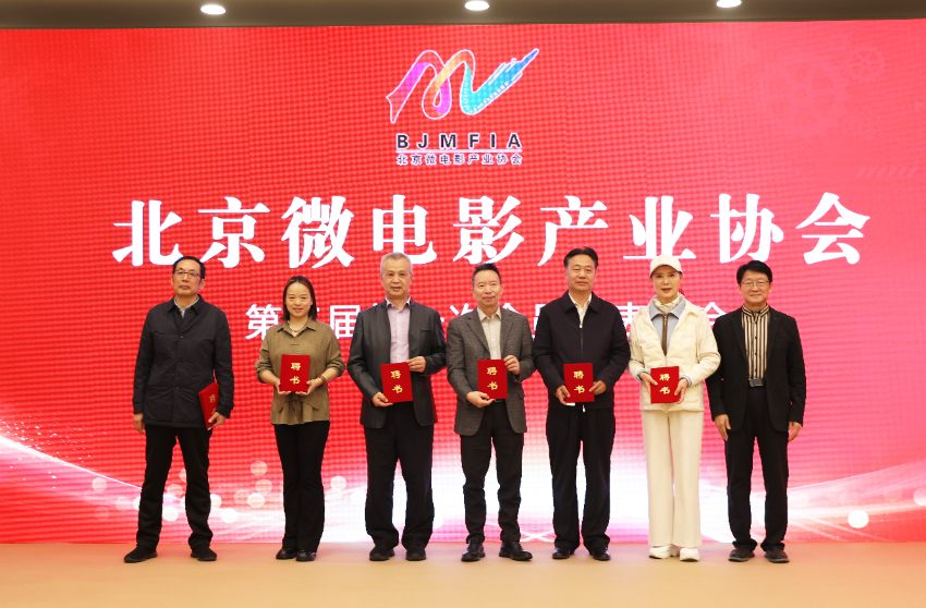 影視藝術(shù)導(dǎo)師