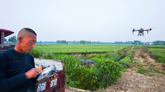 暮春麥田飛“鐵翼” 科技追肥促豐收