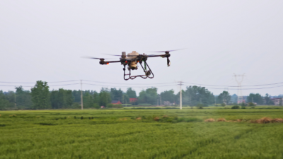 暮春麥田飛“鐵翼”    科技追肥促豐收