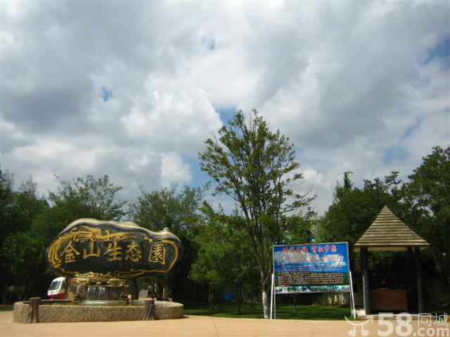 呂桂英 云南農林致富帶頭人