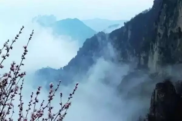 花美、云美、山美、冰美:新鄉轎頂山 花美、云美、山美、冰美:新鄉轎頂山