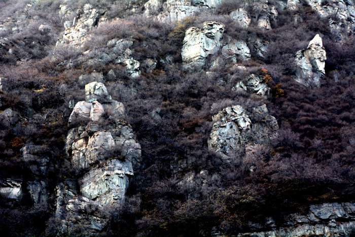 金祖山奇石奇樹奇泉奇景