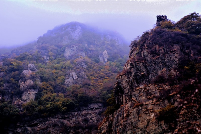 金祖山奇石奇樹奇泉奇景