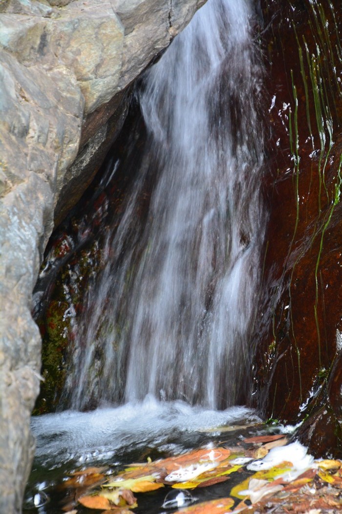 金祖山奇石奇樹奇泉奇景