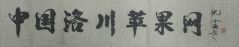 孔令義將軍為中國(guó)洛川蘋果網(wǎng)題字