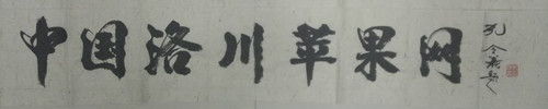 孔令義將軍為中國洛川蘋果網題字