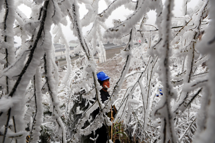 南方電網貴州公司發布低溫雨雪冰凍災害橙色預警