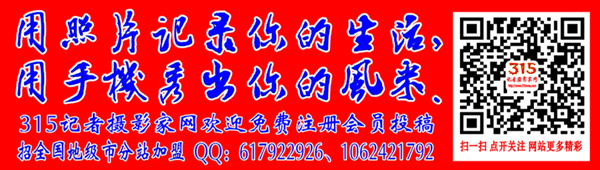 花兒開了——詩畫攝影