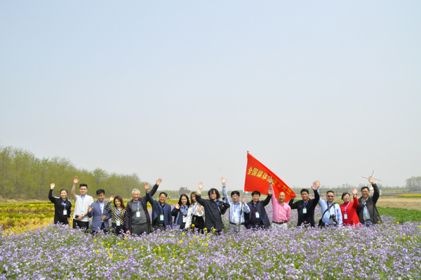 走進“孤島”系列報道之以槐為媒，大報大刊共赴“孤島”共話文化興鎮