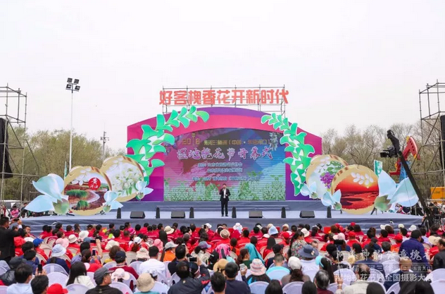 走進“孤島”系列報道之以槐為媒，大報大刊共赴“孤島”共話文化興鎮
