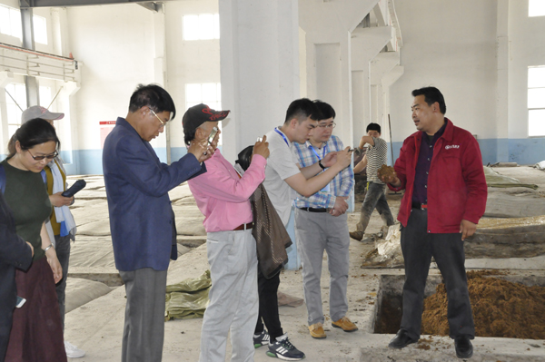 走進“孤島”系列報道之以槐為媒，大報大刊共赴“孤島”共話文化興鎮