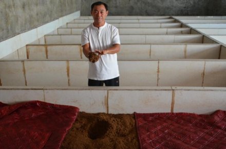 銀河之星 李振民:讓鄉親吃上真正純糧釀造的老陳醋