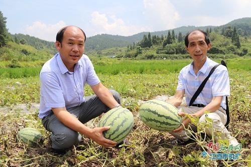 萍鄉“愛心記者”堅守9年奔跑公益路 用大愛為貧弱群眾撐起艷陽天
