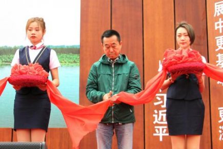 北京觀賞石協會、十里河奇石城攜美石亮相雄安文化藝術節