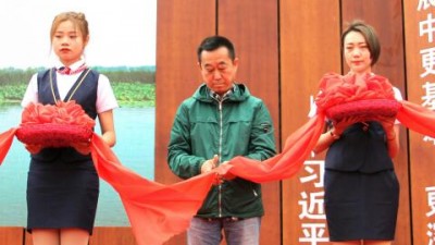 北京觀賞石協會、十里河奇石城攜美石亮相雄安文化藝術節