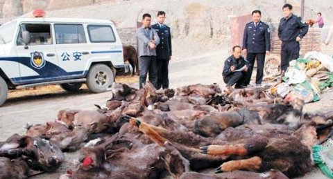 國家林草局等五部門共同開展打擊野生動物違規交易專項執法行