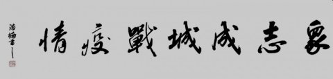 李浩楠書法作品——眾志成城 抗擊肺炎主題網絡書畫攝影展優秀