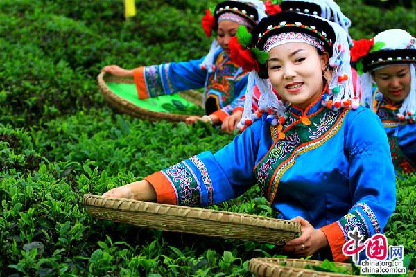 ＂國際茶日＂誕生 習(xí)近平致信！20億茶人看過來