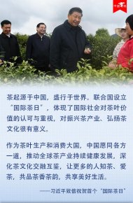 ＂國際茶日＂誕生 習近平致信！20億茶人看過來