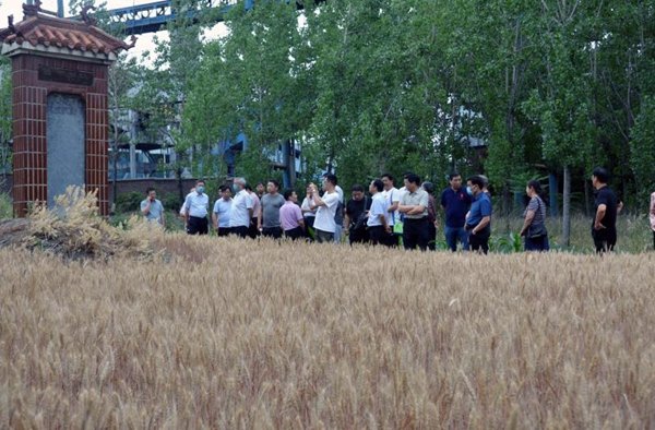 傳承非遺文化 彰顯寶豐魅力----河南省寶豐縣召開白朗文化暨潘運明非虛構文學研討會