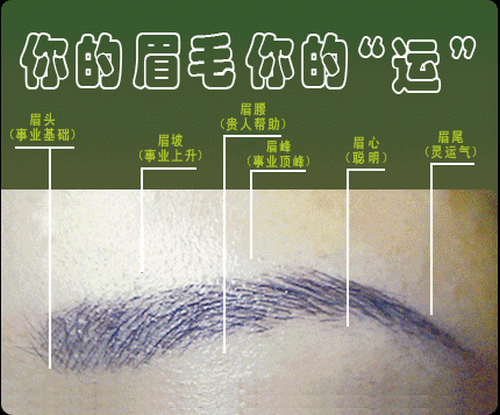 趙會堂易經講座之二十七《美容與運氣》