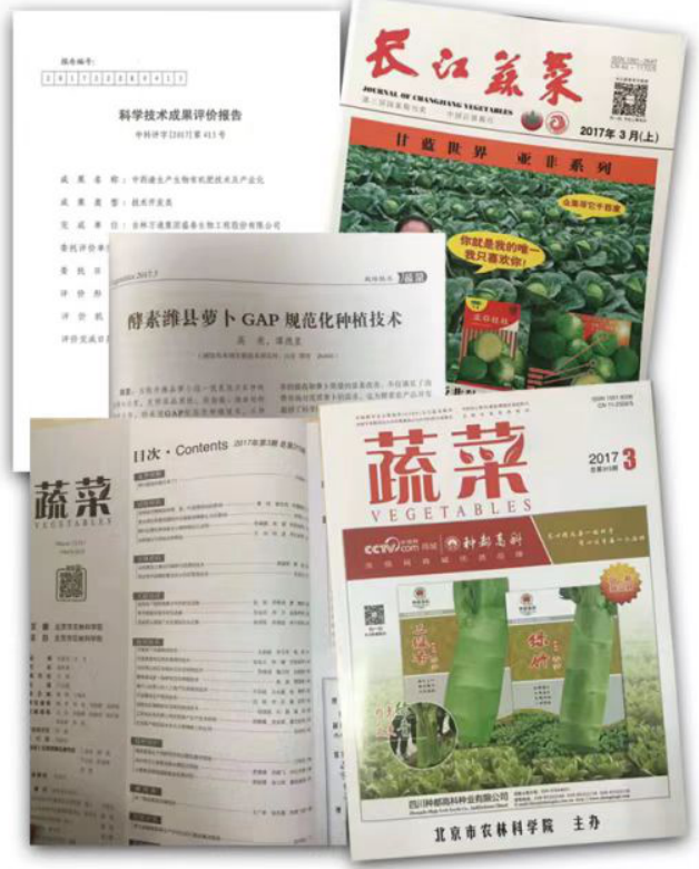 島本酵素，酵素農業發起人，打造農業生態健康發展新模式