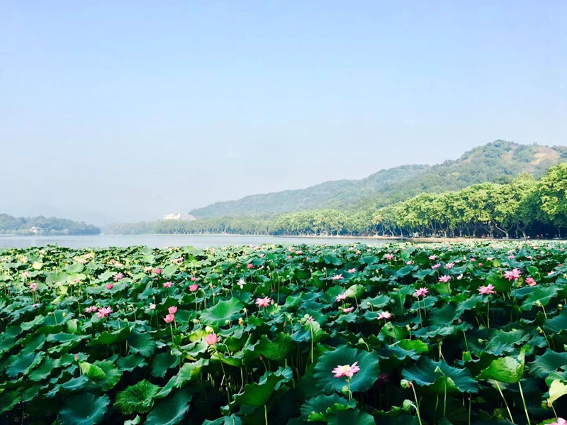 遐想夏韻 文: 李建東 遐想夏韻 文: 李建東