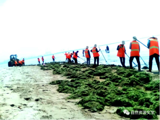 周習紀實文學《碧海金灘北戴河》出版發行