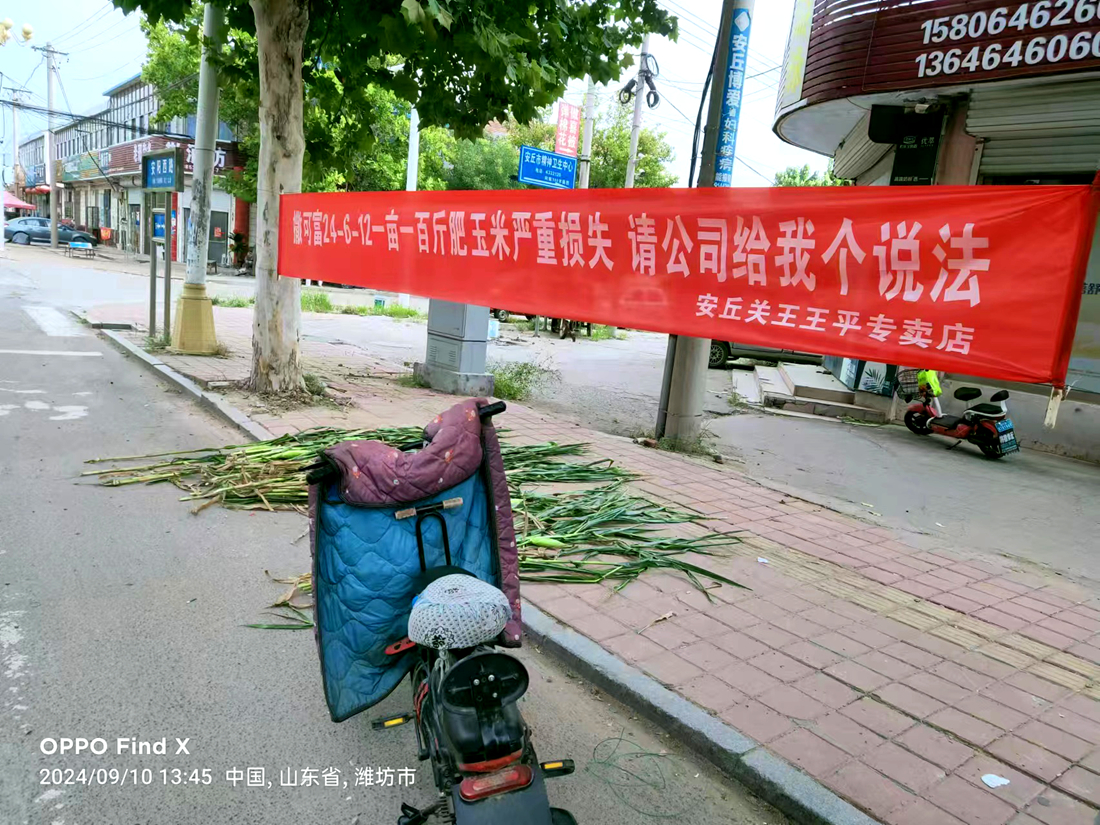 山東安丘:施用撒可富肥料，造成110畝玉米幾近絕產 農戶質疑質量有問題