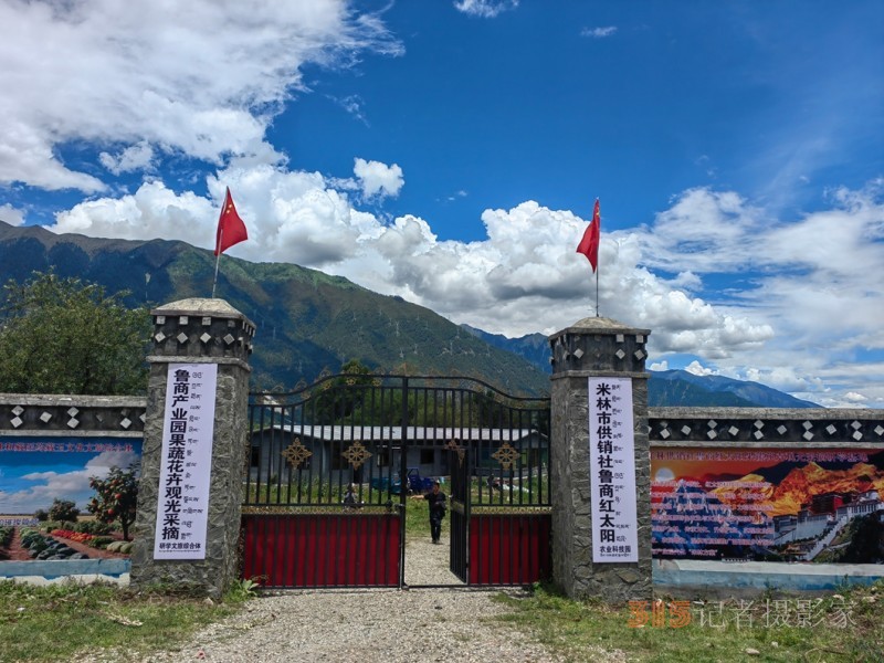 高原上的魯商引擎——林芝市魯商產(chǎn)業(yè)園的藏區(qū)協(xié)同發(fā)展紀(jì)實