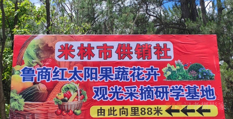 高原上的魯商引擎——林芝市魯商產(chǎn)業(yè)園的藏區(qū)協(xié)同發(fā)展紀(jì)實