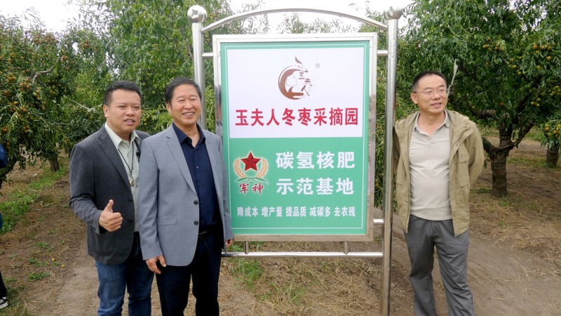 黃驊碳?xì)浜朔识瑮椈赜S收：增產(chǎn)三成零農(nóng)殘，綠色種植結(jié)出“放心果”